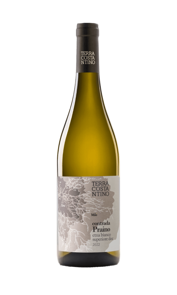 Terra Costantino, Contrada Praino, Etna Bianco 2023 