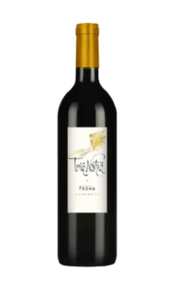 Domaine Chiroulet Terra Nostra 2016