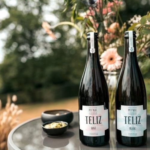 [AHGIGB011] No Ghost in a Bottle Téliz Sparkling Rosé 0%