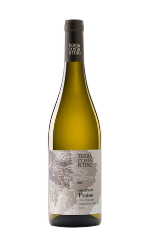 Terra Costantino, Contrada Praino, Etna Bianco 2022